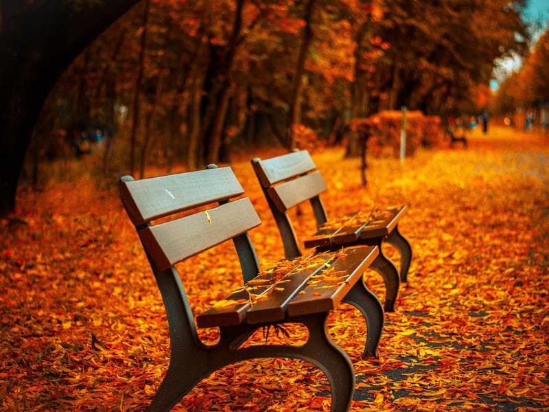 2-Door Wardrobe